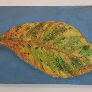 Lorquat - 9x12cm - Oils on Wood Panel