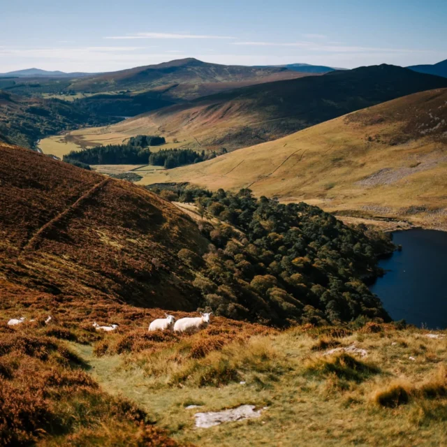 We all need time to slow down. In fact, it could be a game-changer.Stress levels drop, focus sharpens, and you get clearness on what you couldnt see before.This was the reason I started orginising retreats back in 2016th, when lived in Spain. A few of you know, that part of my career was a wellness coaching, helping people to restore their balance in life. Balance is the key to the happiness, weight loss, productivity.
But to restore the balance, we need to jump out of the vicious circle... for onceYou all know I am in love with Westport, so I simply could not imagine other place for this first retreat in Ireland I am hoping to run frequently nowThe plan for 7 - 10th of AprilLoads of nature
Slow down and breath
Open air meditations and body awareness
Art therapy
Hiking a mountain
Intuitive dancing
Walking
Eating good food
Guided meditations
Enjoying the celtic tunes (in pubs)
Exploring Westport
Having fun!! ☺️Retreats can be a total reset. Getting away from the daily grind, focus inward, and recharge. Often come back feeling refreshed and inspired.We are collaborating with @maria.danzen , my creative sister and an unreal body awareness therapistText me if that something you would like to try!#westportretreat #westport #retreatinireland #visitireland #irishviews